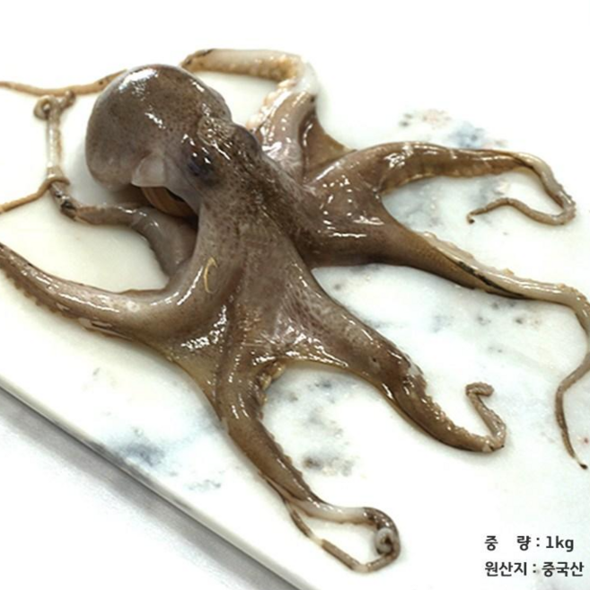 냉동 활 주꾸미 쭈꾸미 1KG 중국산 2팩부터 발송~, 1개, 1kg(최소 주문수량 2팩부터~ 최대 14팩)