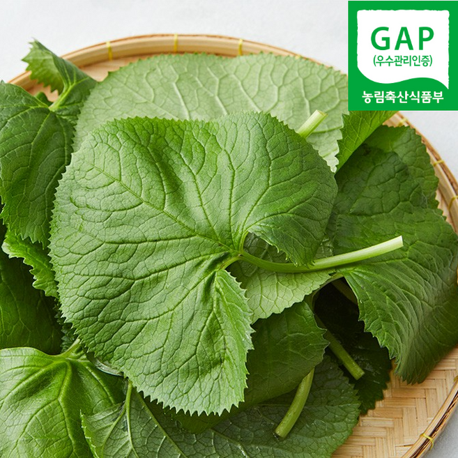 [하루딱30박스] 국산 곰취나물 생 곰취, 1박스, 200g