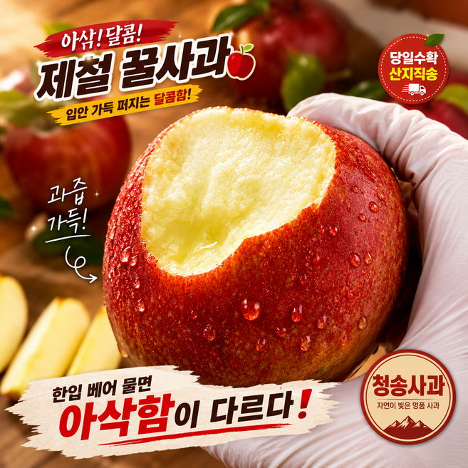 [하루특가] 고당도 초가성비 신선 부사 사과, 1박스, 3kg