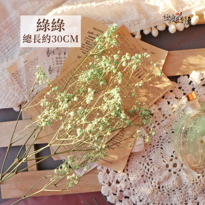 極度花燥 厄瓜多乾燥滿天星, 乾燥滿天星,綠綠,一份約2~3枝滿天星 買二送一,送隨機色