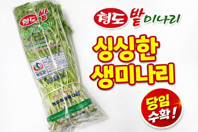 국산 싱싱한 청도 미나리, 200g, 1