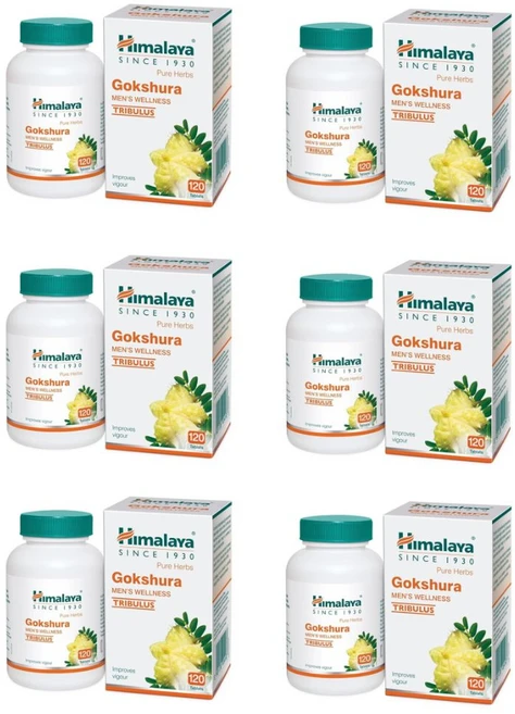 인도 히말라야 고크슈라 Goksura 120정 남성활력보조제 X 6세트, 6개 - 쿠팡