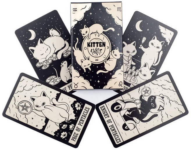 고양이 동물 타로, 1개, 화이트캣
