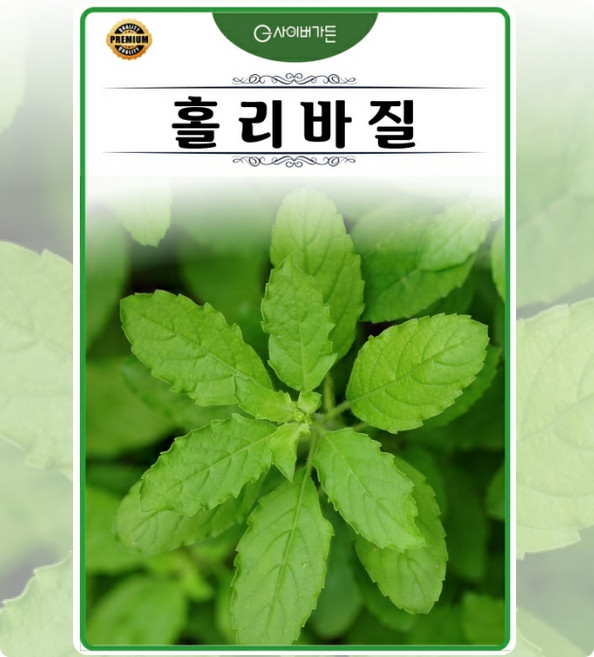 바질 홀리 (툴시 툴시바질) 200립 샐러드용 향기좋은허브 다년생 쌈허브 일년생