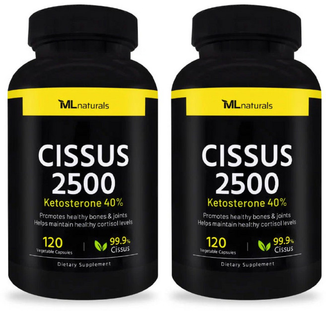 마이라이프 시서스 2500 120캡슐, 2개, 120정