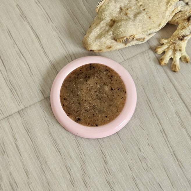 크레스티드 게코 이지클린 슈퍼푸드 밥그릇, 1개, 핑크