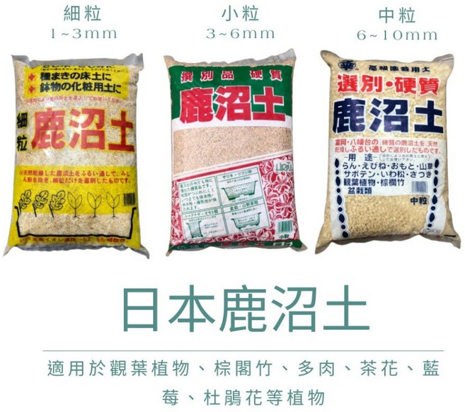 【欣榮園藝】日本鹿沼土 盆栽介質 多肉介質 進口介質 硬質 多肉植物專用土, 1個, 1L,中粒(6-10mm)