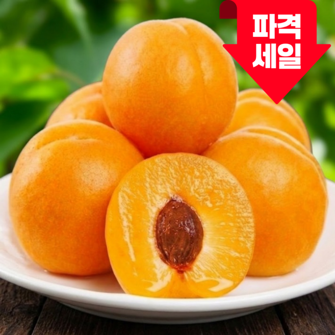 [100박스한정] 특가할인 침샘폭발 꿀brix 살구, 1박스, 500g