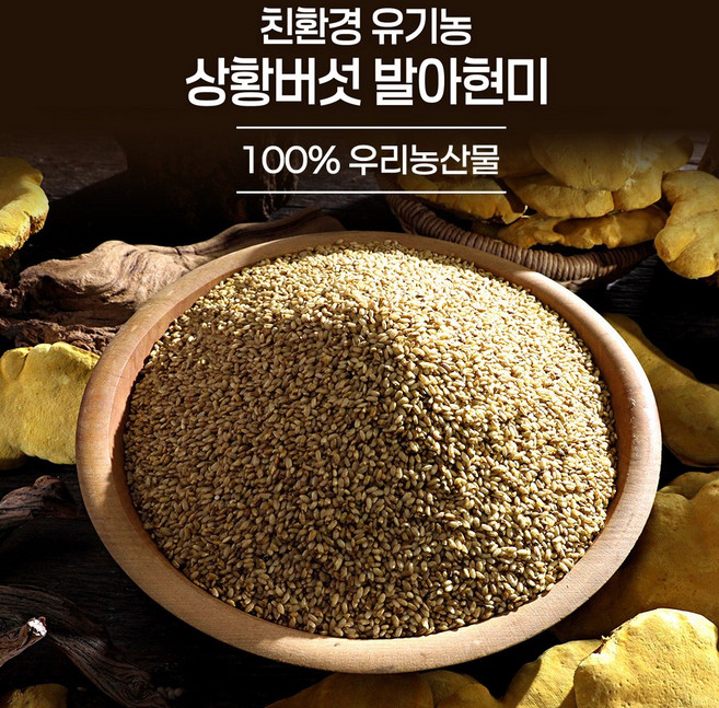 [TV홈쇼핑정품 아이넷] HACCP인증 하이칸 친환경 유기농 상황버섯 발아현미 1박스(40포), 1세트, 800g