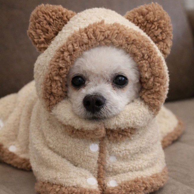 브오미 강아지블랭킷 담요 이불 케이프, 1개, 라이트브라운