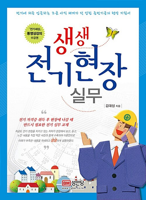 생생 전기현장 실무:전기에 처음 입문하는 조공 아직 체계가 덜 잡힌 준전기공의 현장 지침서, 성안당, 김대성