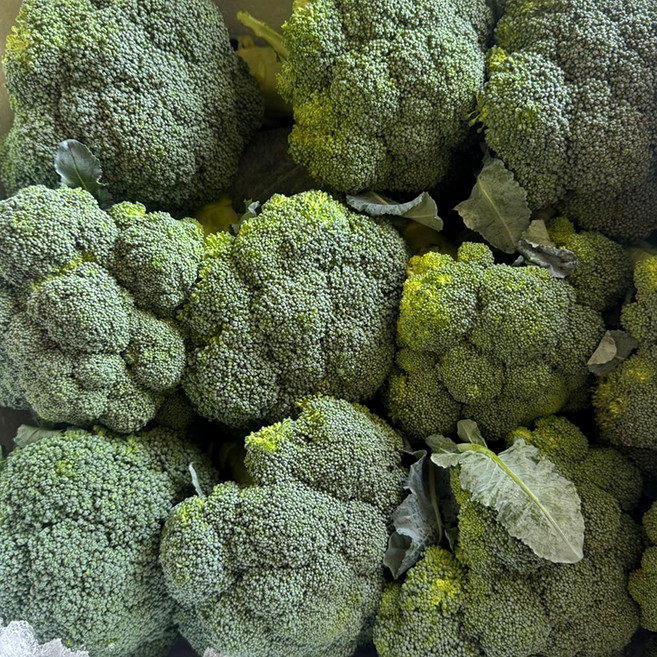 브로콜리 직수입 업소용 식자재, 1박스, 1kg