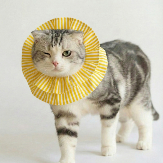 반려동물 초경량 편안한 중성화 넥카라, 1개, 옐로우