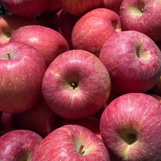 재구매 많은 달콤하고 아삭한 사과, 1박스, 중과 5kg