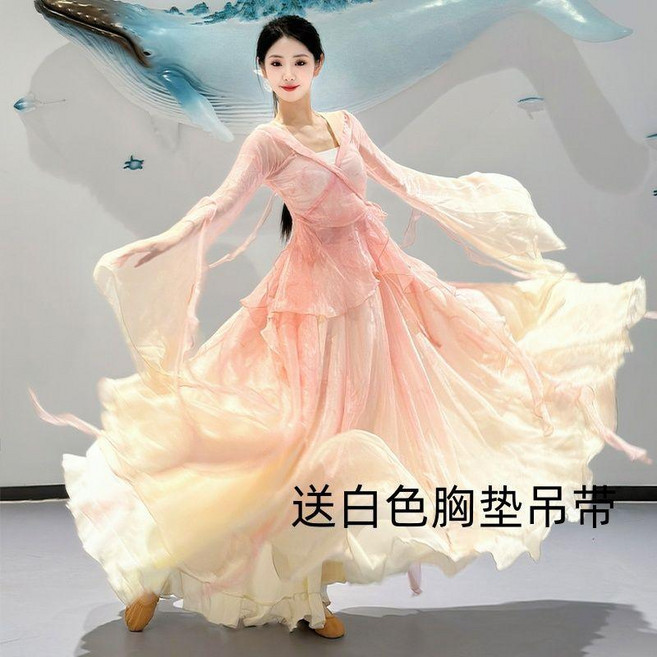 飄逸仙氣古典舞古風古典舞蹈演出表演服練功服女中國紗衣套裝 副廠商品