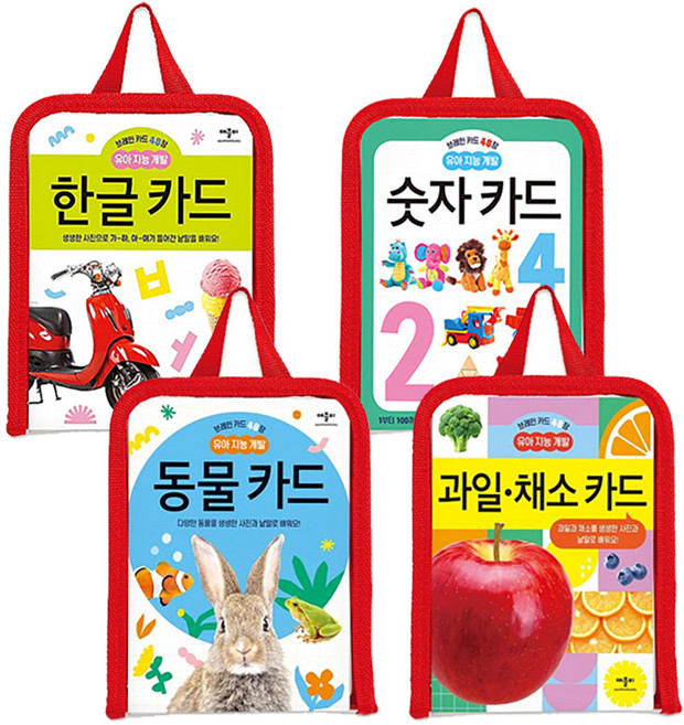 브레인 카드 48장 유아 지능 개발 선택구매, 과일채소카드