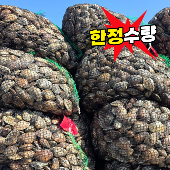 [초특가] 국산 남해안 바지락, 1개, 2kg