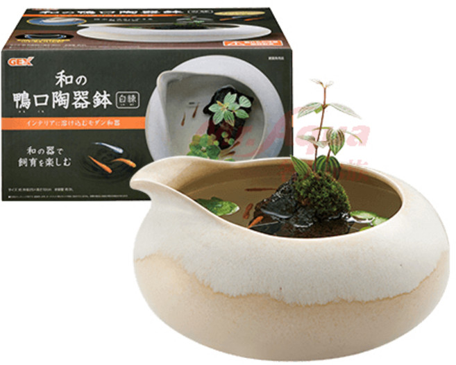 GEX 鴨口陶瓷缽，日式風格觀賞魚缸, 白色, 1個