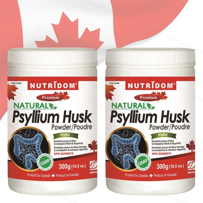 뉴트리돔 캐나다 차전자피 분말 300g x2병, 2개