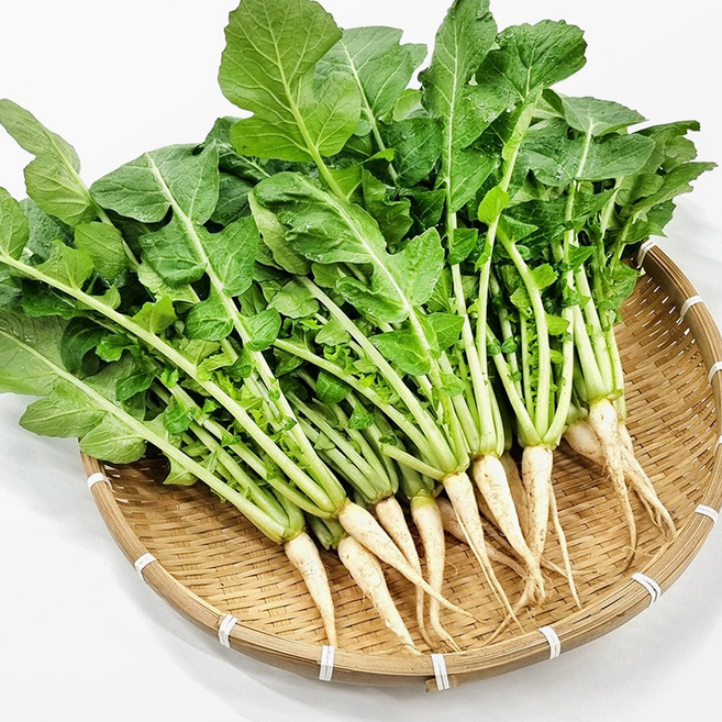 포천 사계절청년농부 김치용 어린 열무 얼갈이 산지직송 정량 포장, 1박스, 열무 4kg