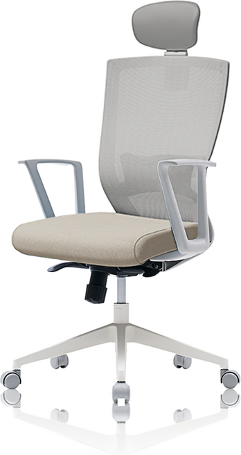 시디즈 T50라이트 블랙쉘 사무용의자, 베이지