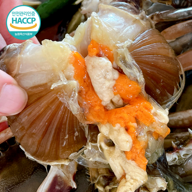 [특가]국내산 급냉 살 꽉찬 암꽃게 연평도 알배기 특품, 1개, 1kg (3-5미)
