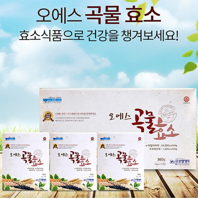 엑스비 오행생식 곡물발효 탄수화물분해 단백질분해 소화 오에스 곡물효소, 360g, 3개