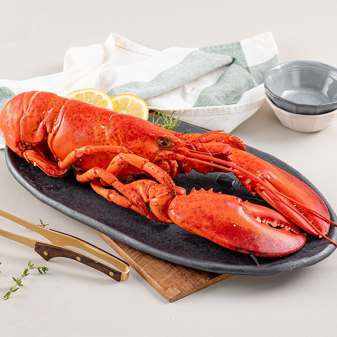 바다대로 신선한 냉동 랍스터 캐나다 자숙 랍스터, 2개, 400~450g