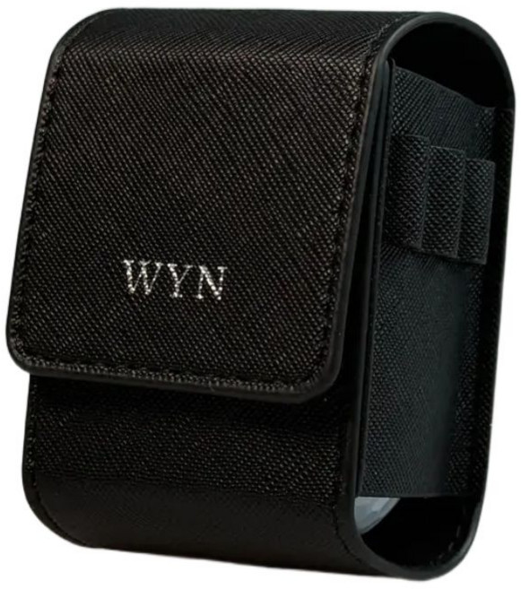 윈스튜디오 골프공 주머니 골프볼 파우치 케이스 가방 2구, 블랙(실버), 1개