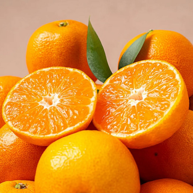 당일수확 제주 서귀포 고당도 제주 감귤, 1박스, 3kg(S/M)로얄과