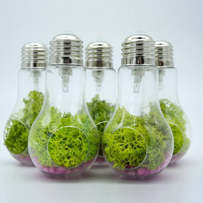 브랜드 LED 스칸디아모스 키우기(미세먼지 식물)(1인용)5개입, 1개