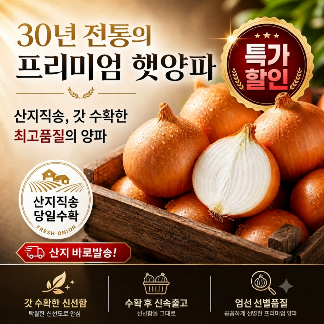 [산지직송/특가] 국내산 양파 엄선된 품질 신선한 아삭아삭 프리미엄 햇양파 5kg/7kg/10kg (특), 1개, 5kg(특)