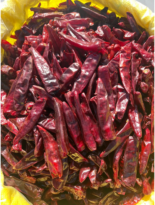 2025년 햇 중국산 금탑(중간) 건고추 1kg, 1개
