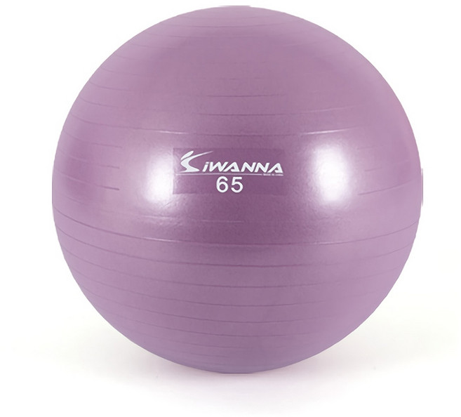 아이워너 안티버스트 짐볼 65cm 임산부짐볼 요가 필라테스볼 스트레칭볼, 라일락, 라일락