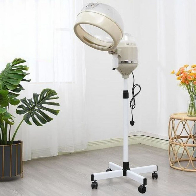 헤어스티머 두피케어 미스트기 미용실 가정용 스팀기 제품, L. 단일 헤드 일반 모델