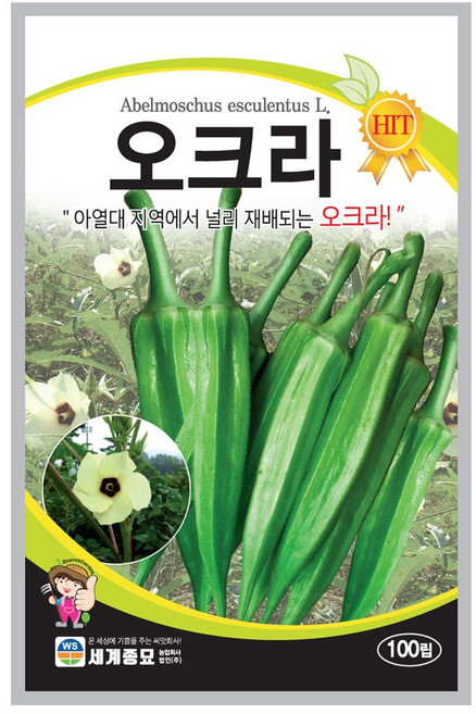 오크라 100립/오크라종자 텃밭 키우기 오크라씨앗, 1개