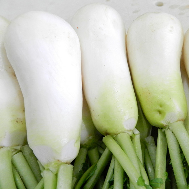 김장할때 같이 담는 황토 절임 세척 알타리무 초롱무 총각무 3kg(1.5단내외) / 즉시출고