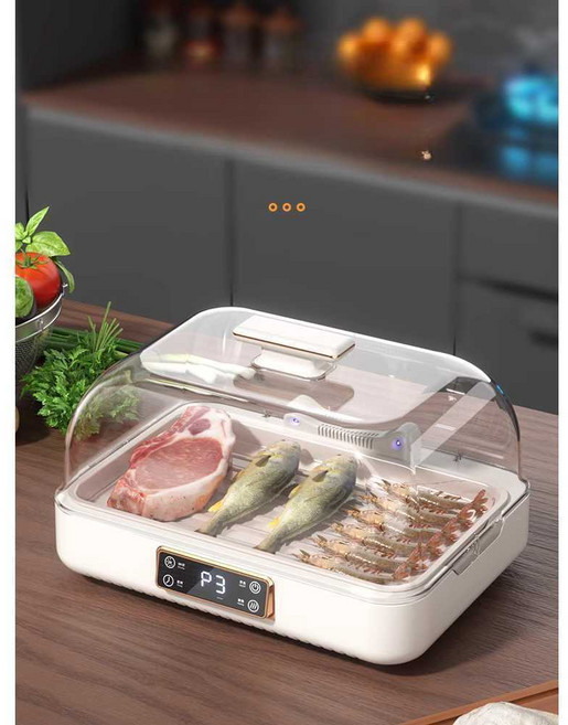 낙원굿즈 급속 해동기 냉동식품 녹이기 고기 신선도, 하얀색