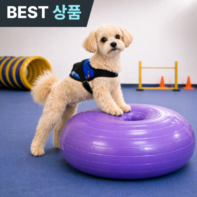 플러클 강아지짐볼 도넛 밸런스볼 슬개골탈구예방, 1개, 퍼플