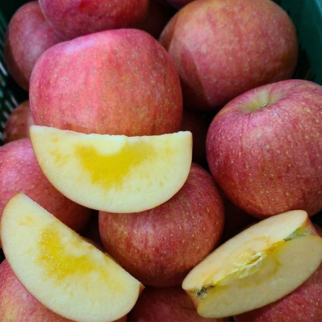 [정담온 농원] 선물용 정품 청송 고당도 부사사과, 1개, 대과 5kg (정품)