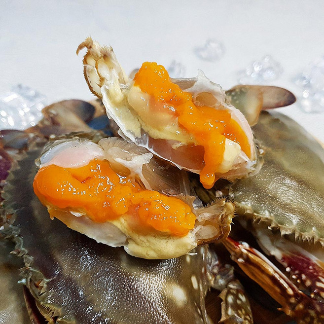 26년 첫조업 제철 봄 활 암꽃게 알배기 꽃게, 1개, 4kg (16-24미)