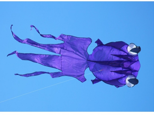 風箏小舖 軟體金魚造型風箏, 詳見包裝