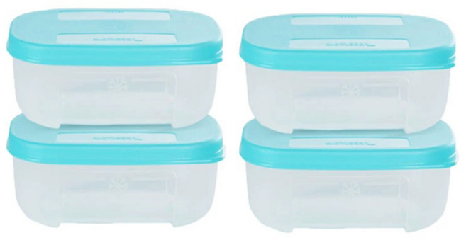 타파웨어 냉장고정리용기 140ml 0.14L 냉동실보관용기 2/4/6/8 종 세트, 1세트, 4개