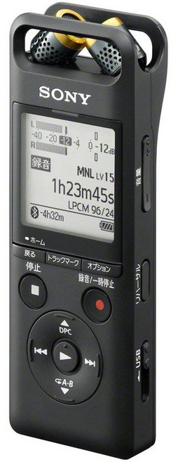 소니 보이스레코더 휴대용 고성능 녹음기 16G, PCM-A10, 혼합색상