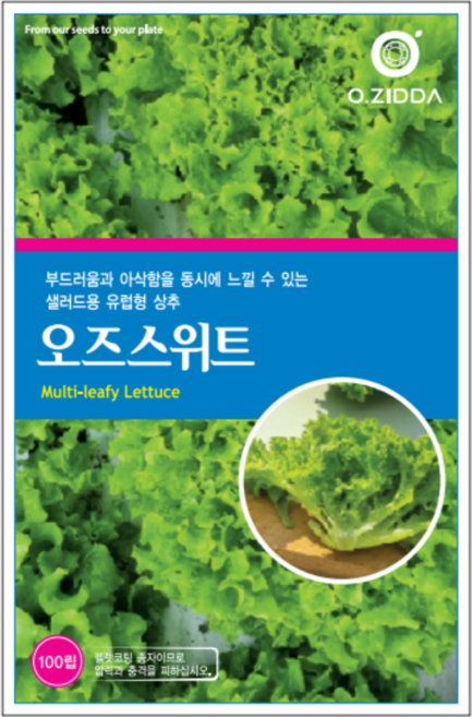 고급 유럽 상추 씨앗 - 오즈 스위트, 1개