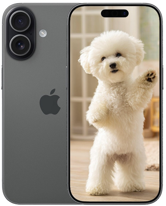 i폰17 새상품 미개봉, 512GB, 옵션명 아이폰 블랙