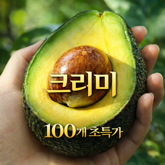 칠레산 아보카도 특대과 대과 한정특가, 1박스, 특대10과