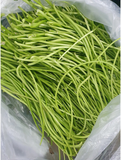 부드러운 고구마순 줄기 줄거리 생고구마순, 1kg, 1개