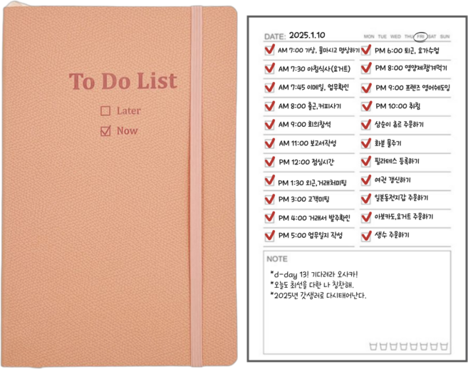 갓생노트 투두리스트 다이어리형 데일리 체크리스트, 하니문 피치핑크