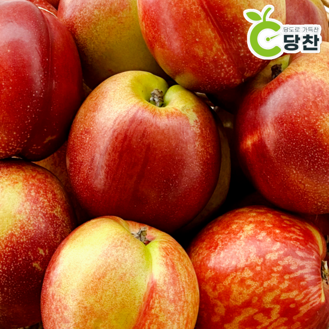 [당찬프루츠] 경북 영천 당일수확 고당도 천도복숭아, 1개, 3kg (특)